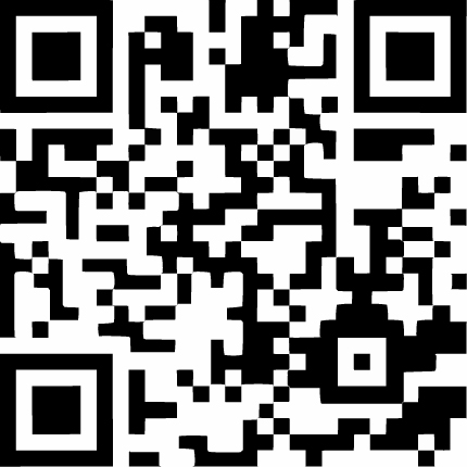 Notfall Anhänger Scan Demo